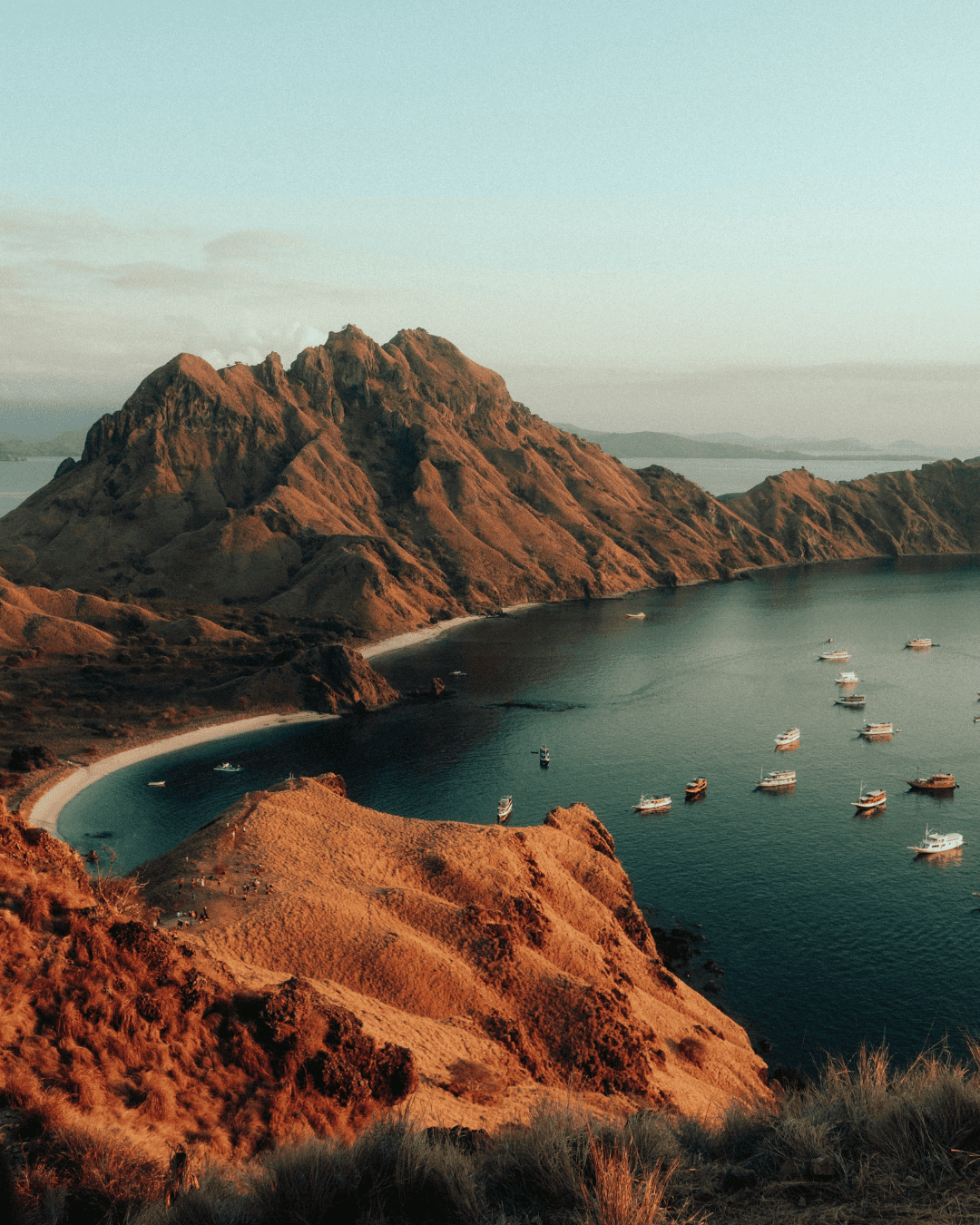 Komodo Island: Step Into a Real-Life Jurassic World